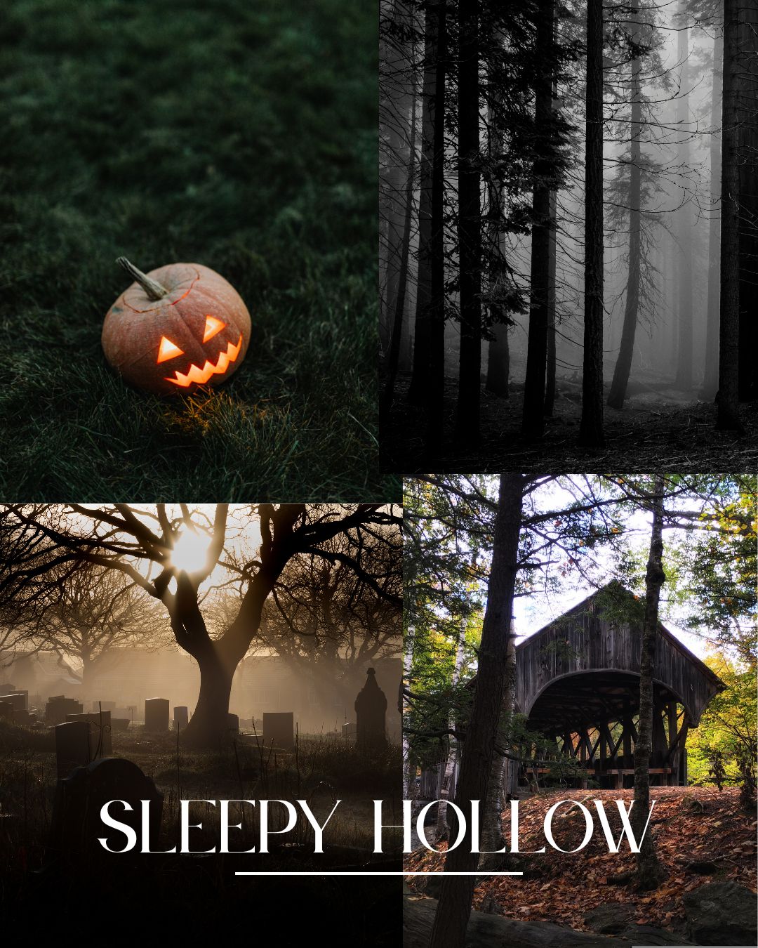 Sleepy Hollow Soy Candle